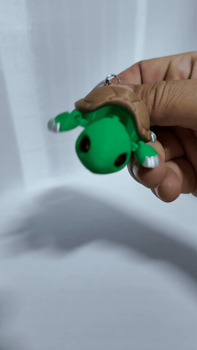 Llavero Tortuga   F2