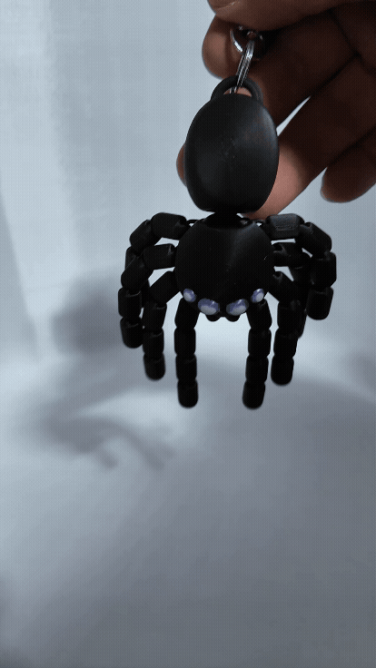 Llavero Araña     F11