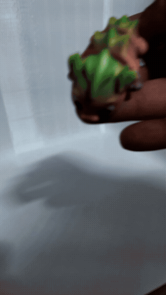 Llavero Ajolote    F50